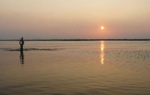 螃蟹|蟹奴是什么样的生物？螃蟹为什么会成为它们的奴隶，听命于它？