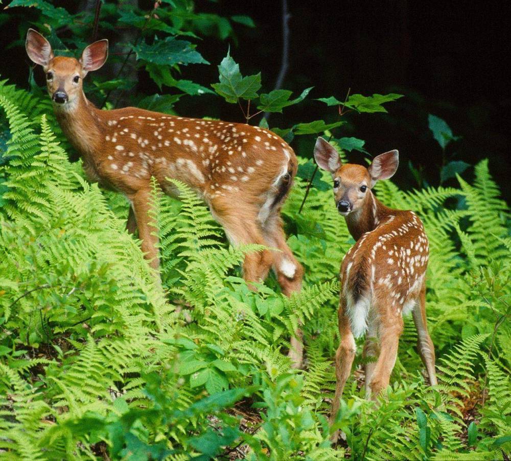 地球|为什么人一定要繁衍后代？