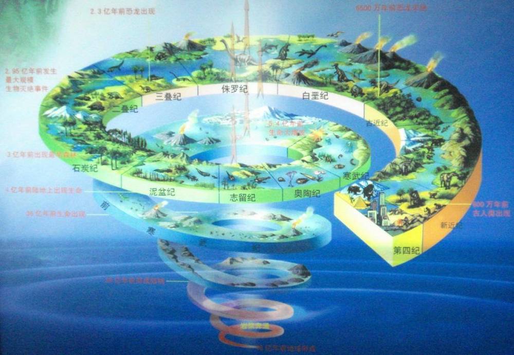 地球|为什么人一定要繁衍后代？