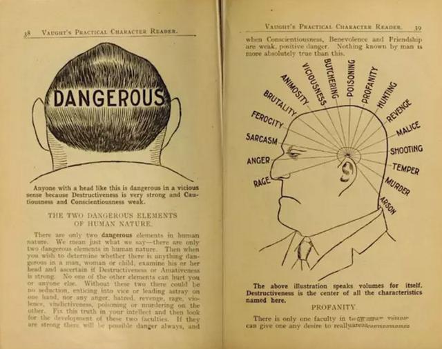 心理学|心理学：你的长相其实早已暴露了你是好人还是坏人
