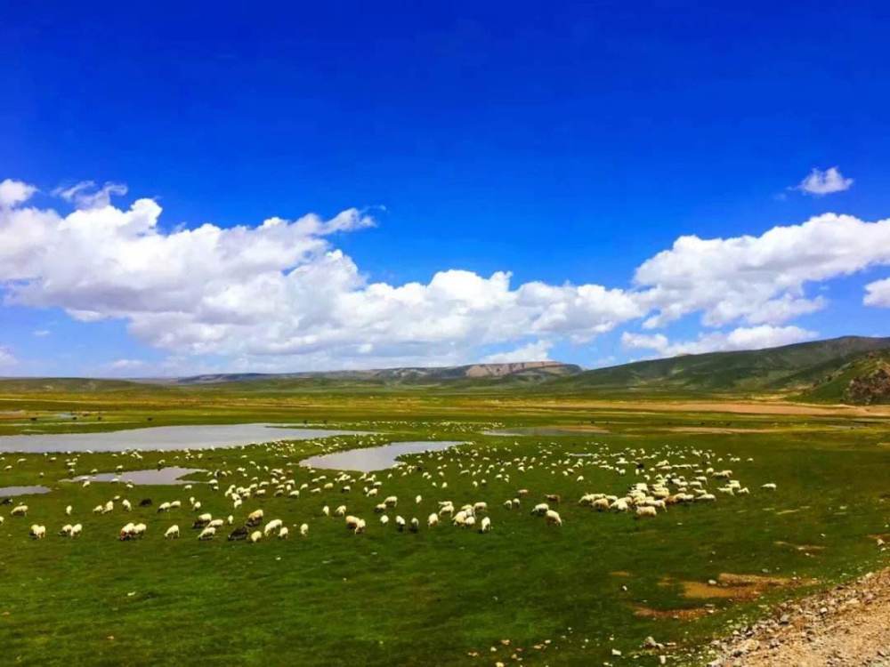 黄河|为什么没有人试图把黄河“几”字形的河道拉直呢？