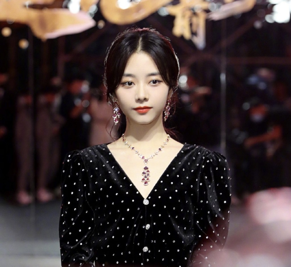 追星星的人|全新慢综《追星星的人》，李易峰朱一龙常驻，飞行阵容也很豪华