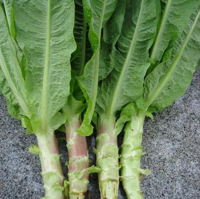 挑选莴笋不是越绿越好,老农教大家5招,轻松选购皮薄脆爽莴笋