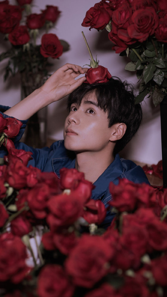 手机壁纸‖胡一天