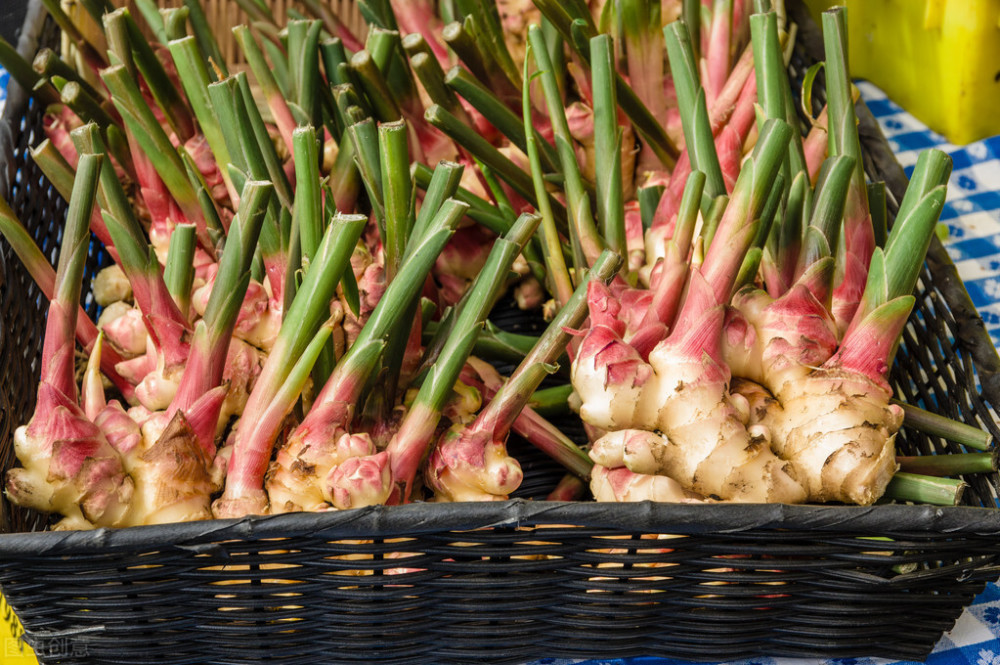 膝关节滑膜炎|骨科主任：一块生姜这样用，腿疼减轻了，积液也少了，滑膜炎不攻自破