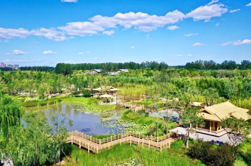 绿心森林公园|面积相当于1.8个颐和园！北京这个新建森林公园9月29日开园