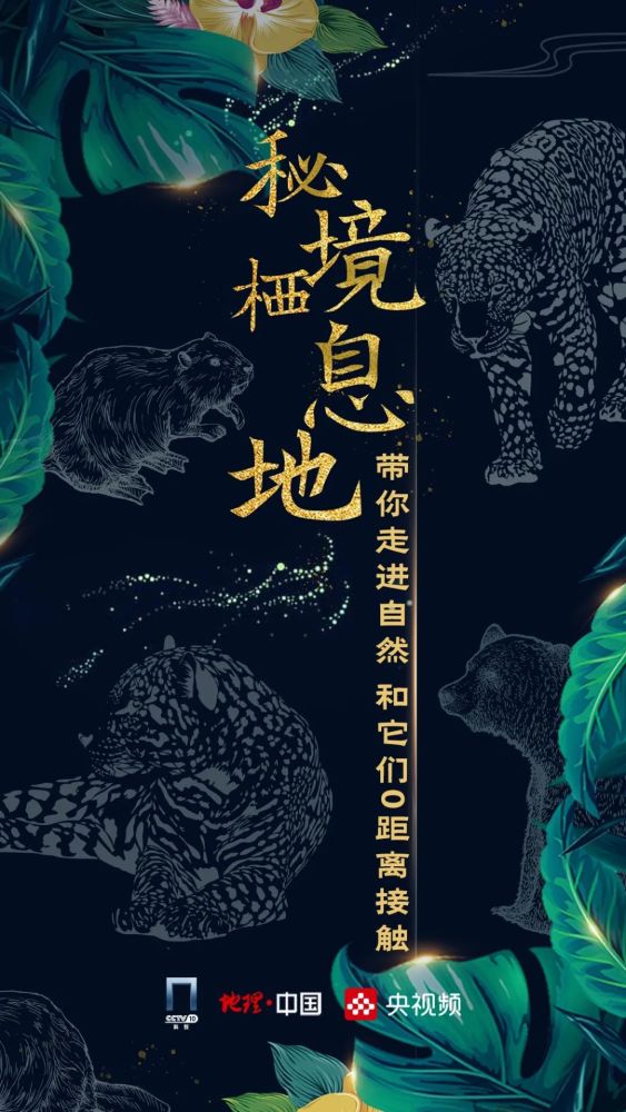 艾尔弗雷德·拉塞尔·华莱士|《地理·中国》央视频号全网首播《秘境栖息地》