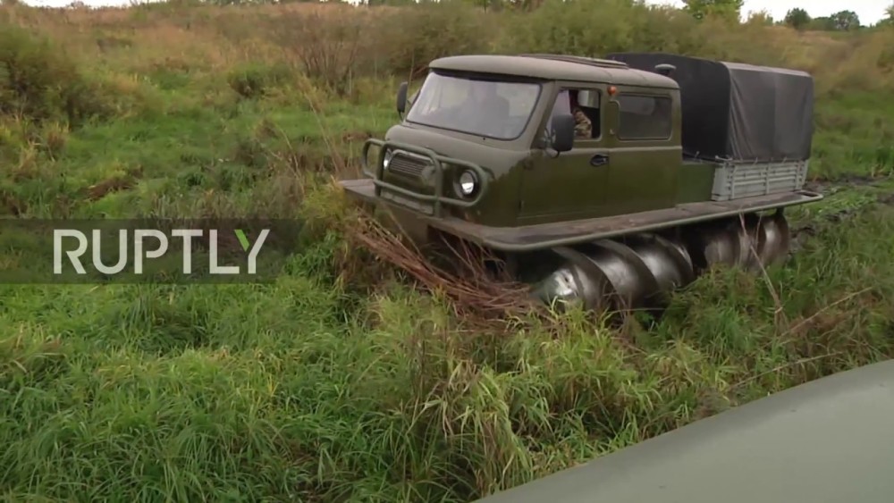 俄罗斯沼泽都有哪些宝?