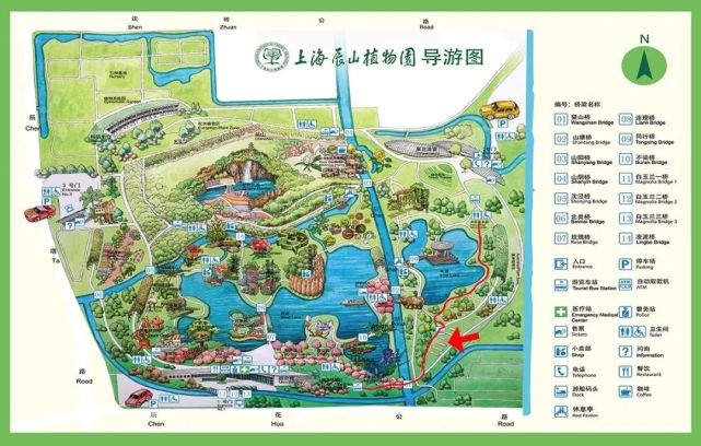 观果路线,二十种辰山秋果尽收眼底|秋果|上海辰山植物园|银杏|乌桕