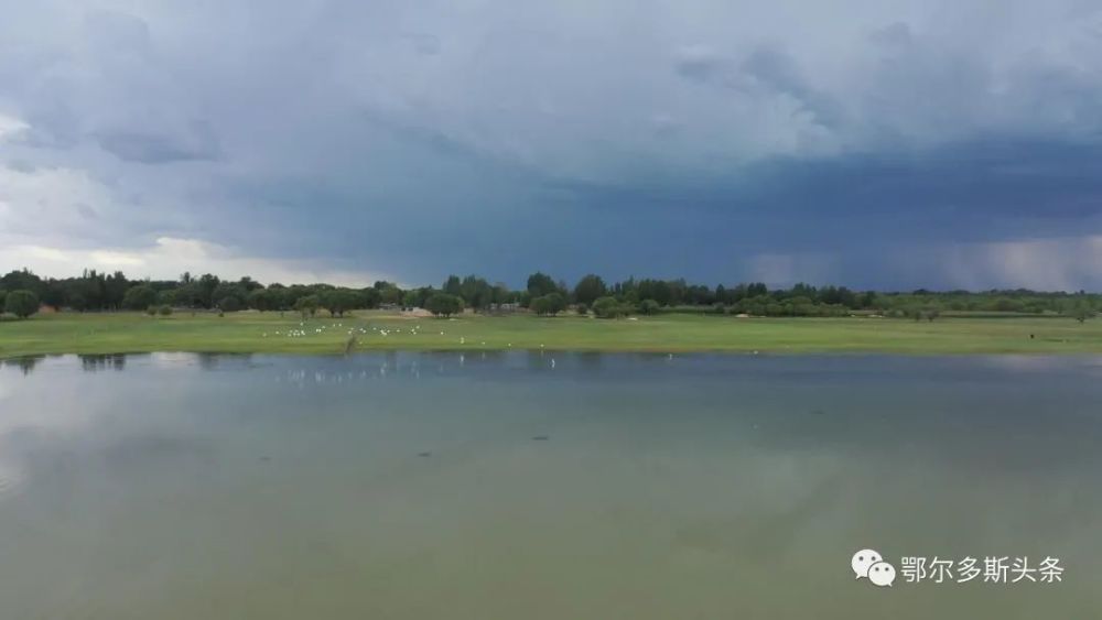 美术馆|又添一站式打卡新去处！吃喝玩乐大撒欢！走起