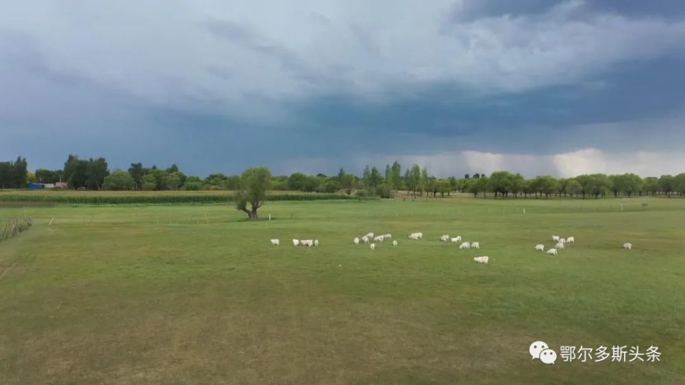 美术馆|又添一站式打卡新去处！吃喝玩乐大撒欢！走起