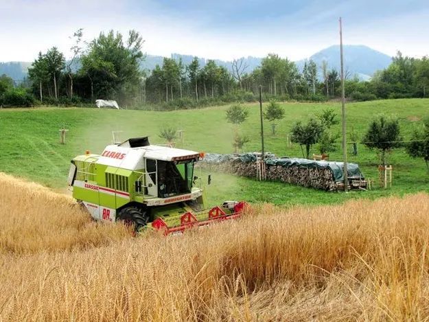 瑞士多山且海拔较高,不利于农作物生长,农业自给率仅为60%左右.