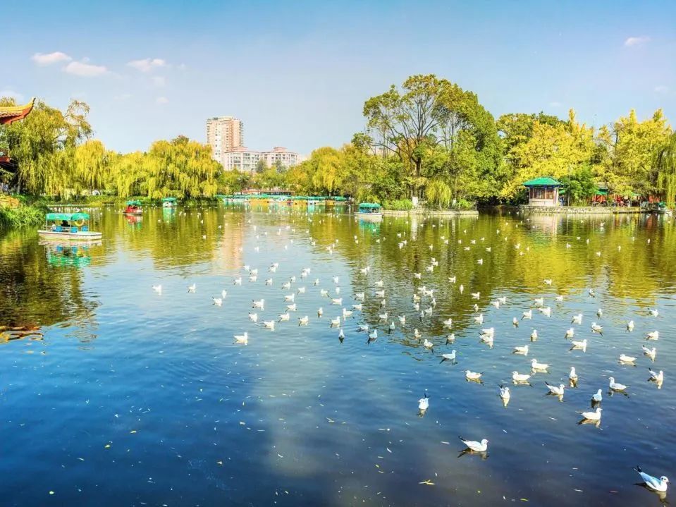 昆明最美的市內公園,堪比蘇州園林