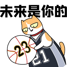 原来你是三井寿美国分寿nba群星也