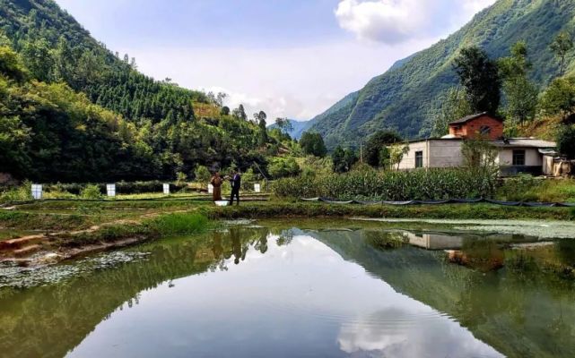 茨沟处处是丰收