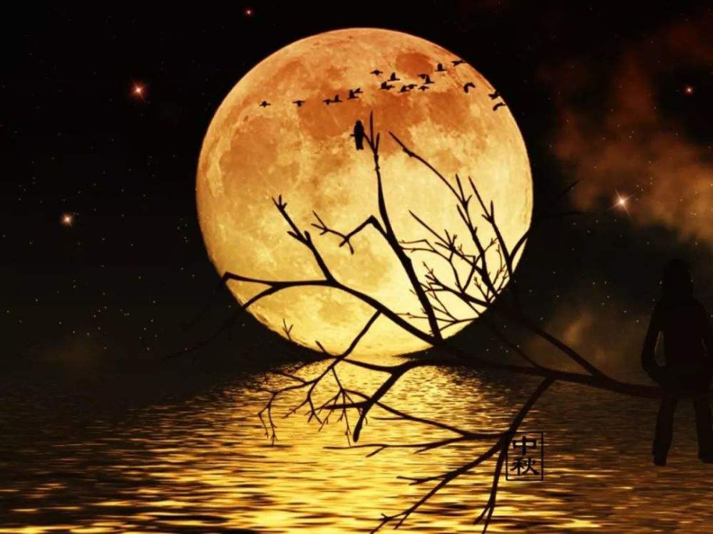 原始人类|世界之大无奇不有，月神不只嫦娥姐姐，还有矮瘦丑男和暴躁大妈