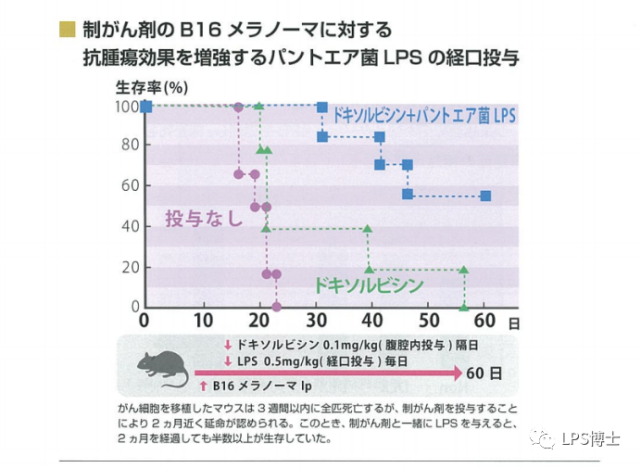 Lps的秘密 腾讯网