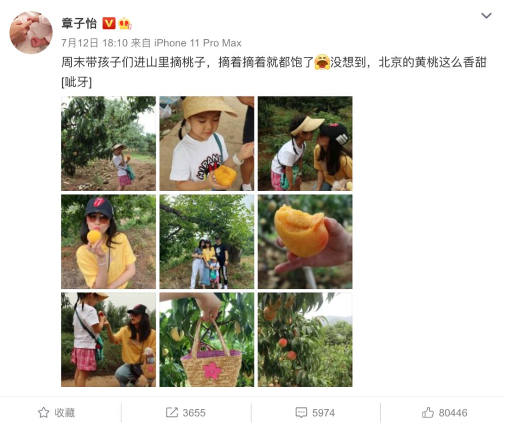 章子怡|嫁给汪峰的章子怡，怎么堕落了？