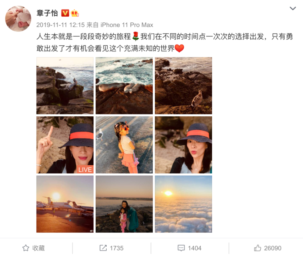 章子怡|嫁给汪峰的章子怡，怎么堕落了？