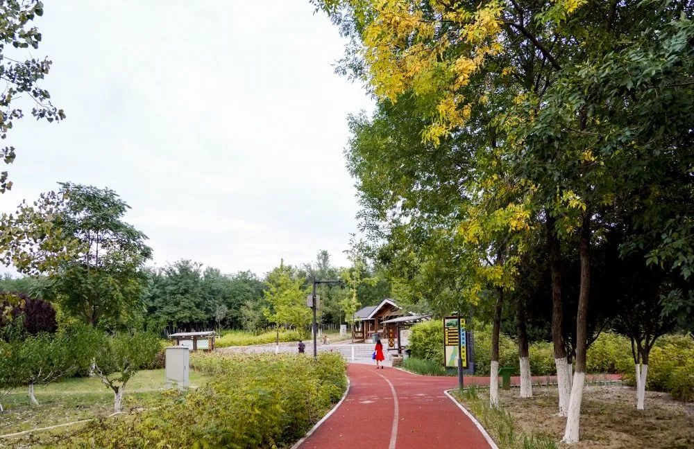 幸福!在昌平,家门口逛公园,尽享绿色生态福利