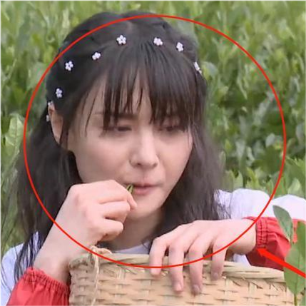 郑爽|郑爽现身Prada大秀，复古连衣裙艳压众女星，生图惊艳一洗颓势