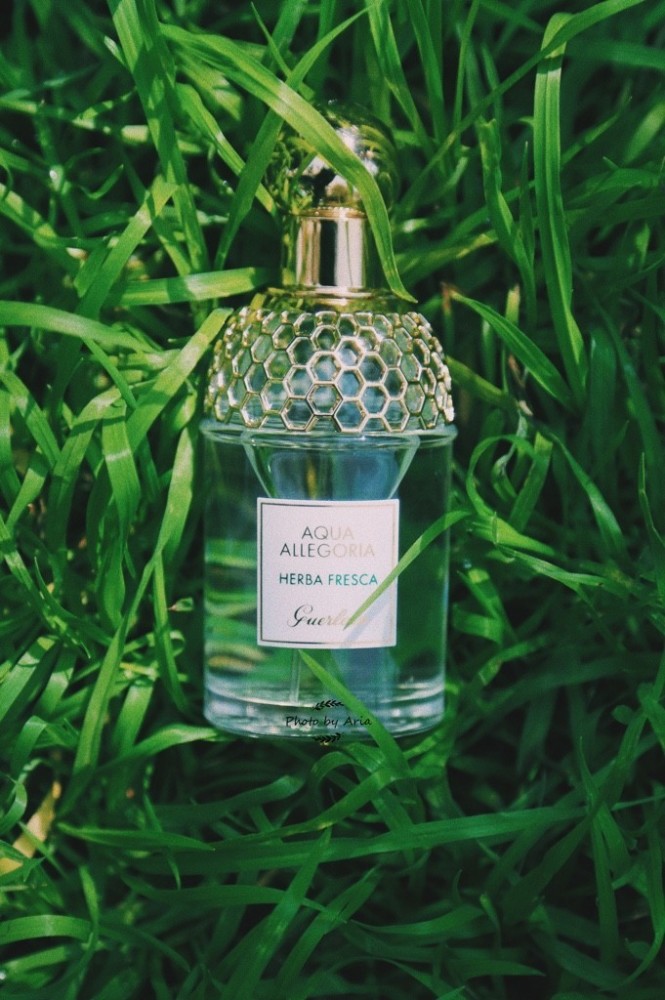 娇兰 薄荷青草 非常适合日常使用的香水推荐