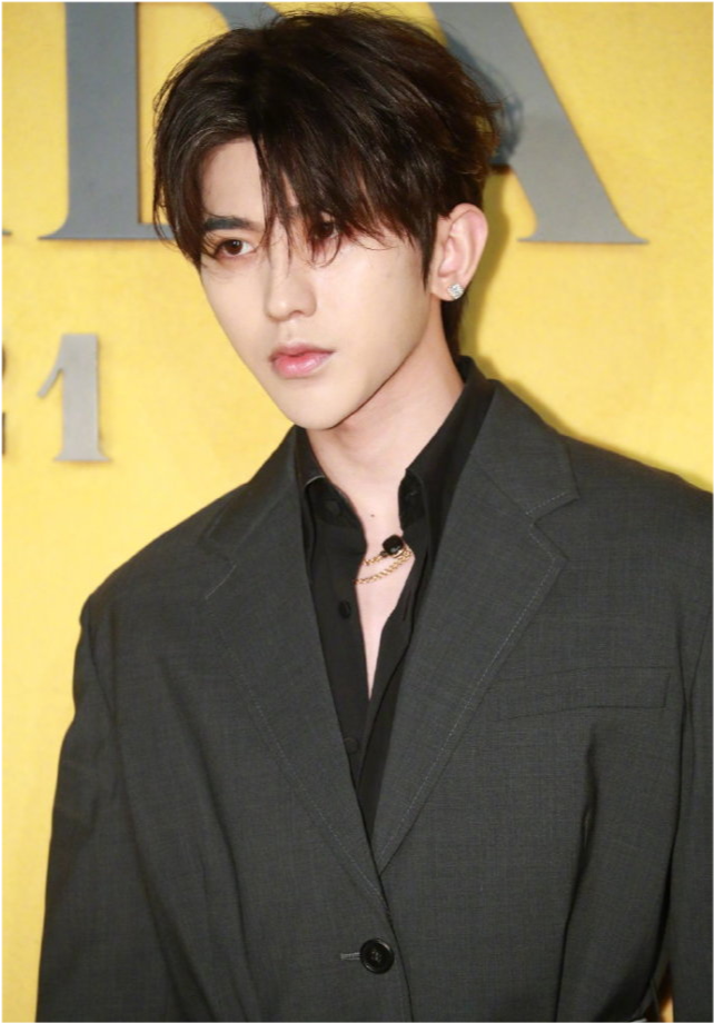 郑爽|郑爽现身Prada大秀，复古连衣裙艳压众女星，生图惊艳一洗颓势