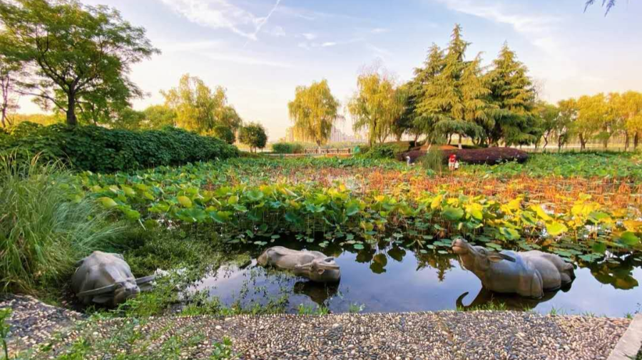 7号线 菱角湖公园