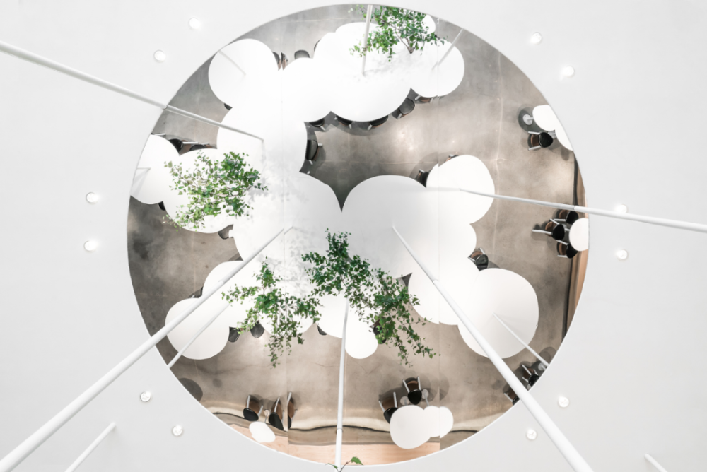 甲方|俯仰之间的建筑美学