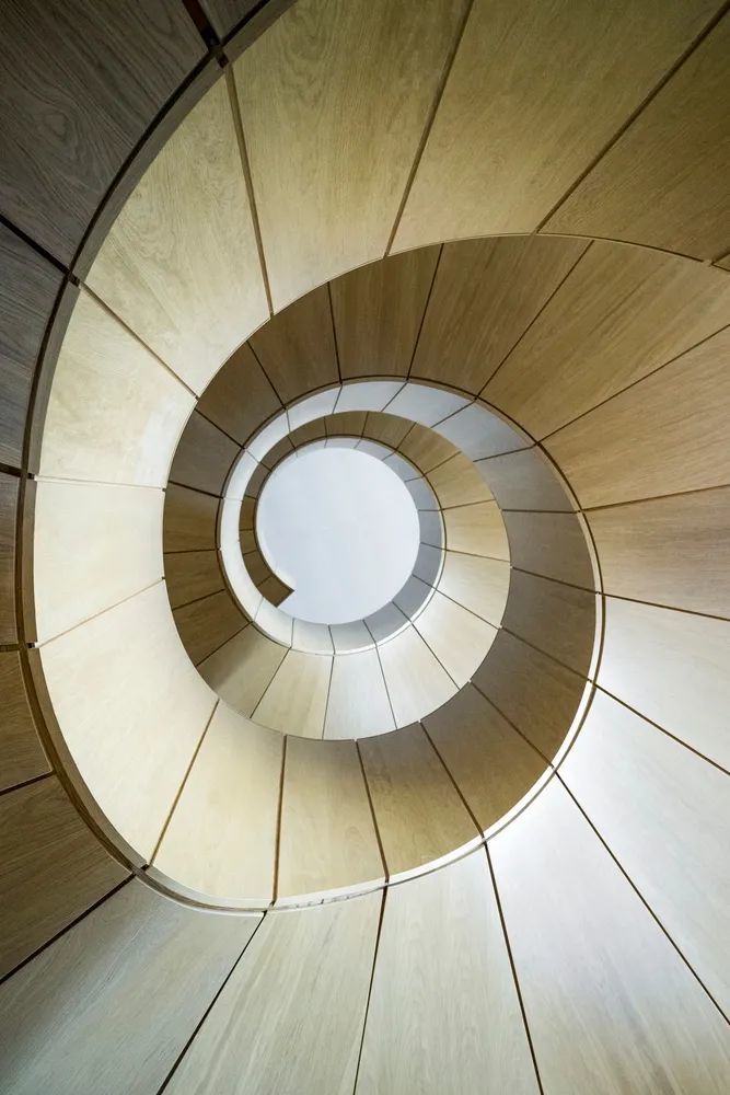 甲方|俯仰之间的建筑美学