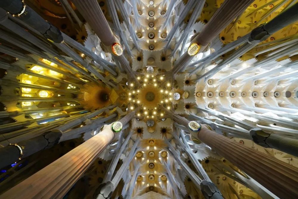 甲方|俯仰之间的建筑美学