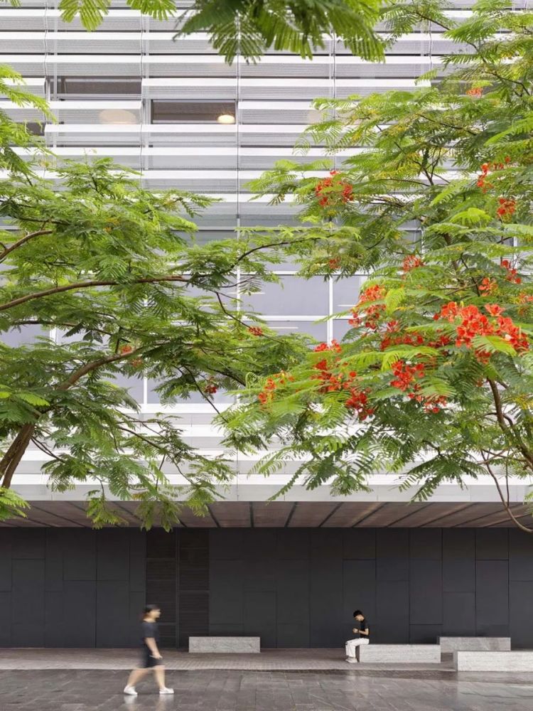 建筑设计|公共文化建筑设计：深圳坪山大剧院/案例