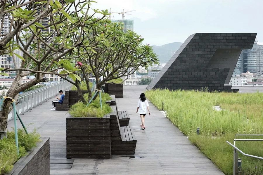 建筑设计|公共文化建筑设计：深圳坪山大剧院/案例