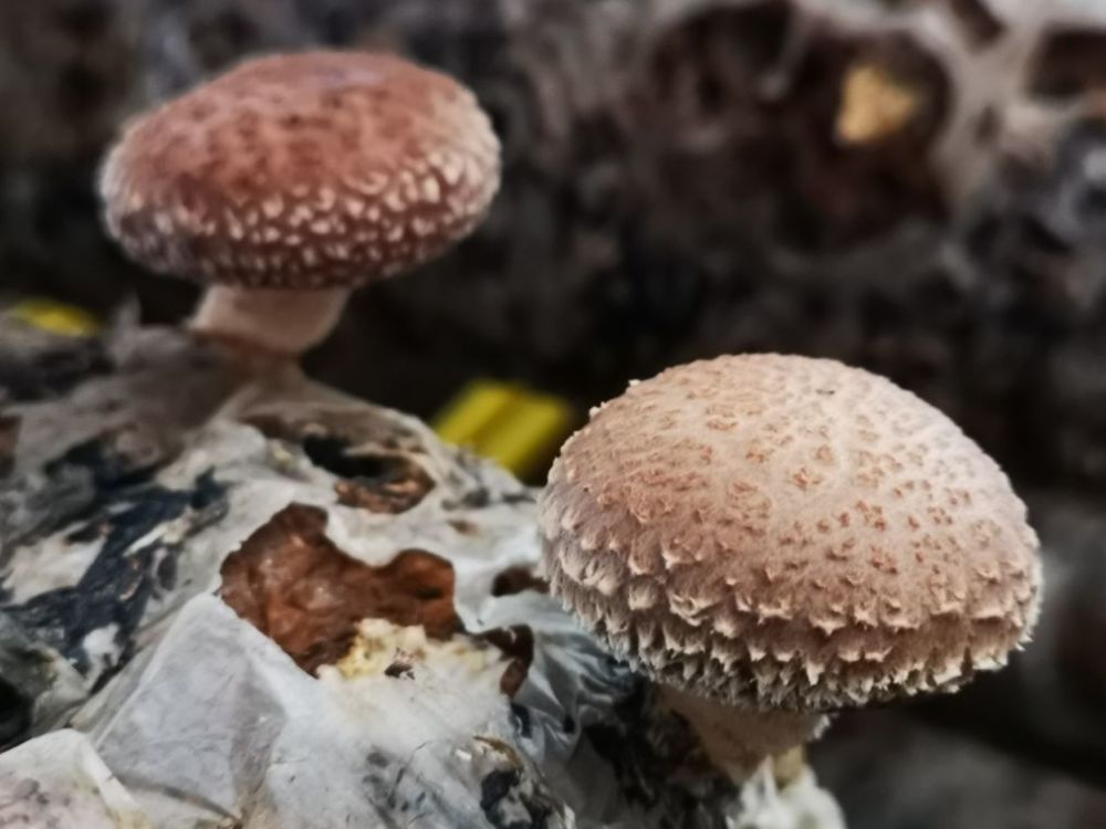 北京|十一北京周边自驾游，这些地方值得打卡