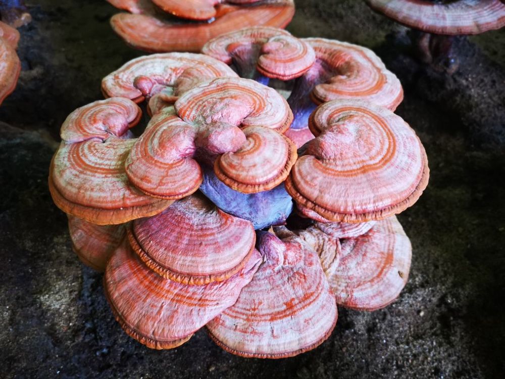 北京|十一北京周边自驾游，这些地方值得打卡