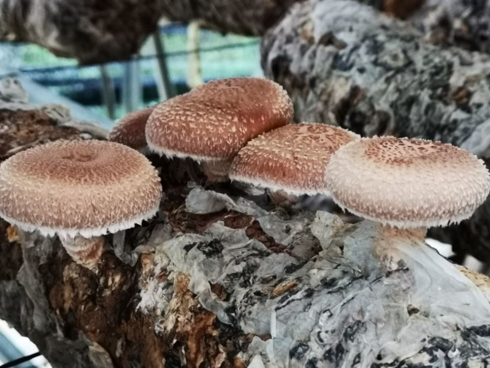 北京|十一北京周边自驾游，这些地方值得打卡