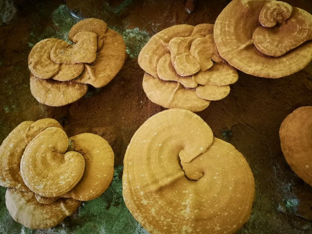 北京|十一北京周边自驾游，这些地方值得打卡