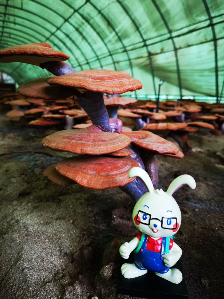 北京|十一北京周边自驾游，这些地方值得打卡