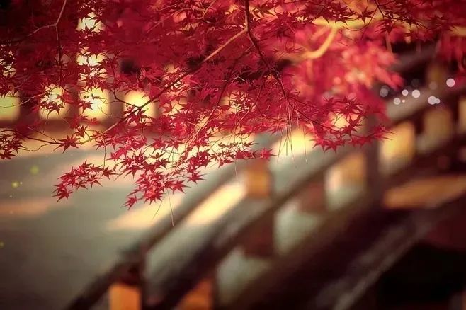 萧雨涵|【当代诗人咏秋天·第二季】萧雨涵 卷