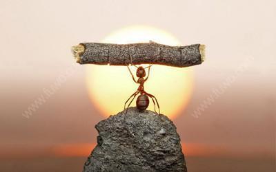 高维生|怎么样才能证明，人类之上还有高维生物