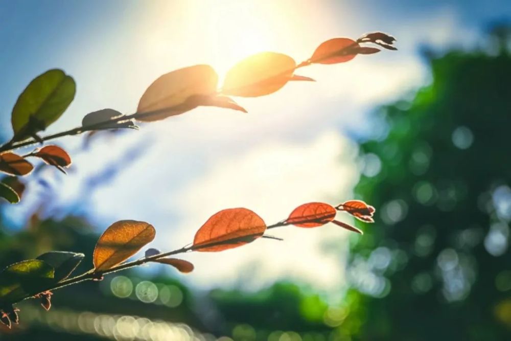 微笑|愿你每天醒来，阳光和幸福都在