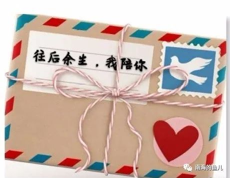 云雨悦诗社|当花瓣离开花朵 文/云南踏雪