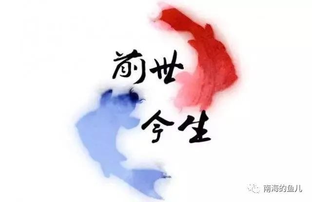 云雨悦诗社|当花瓣离开花朵 文/云南踏雪