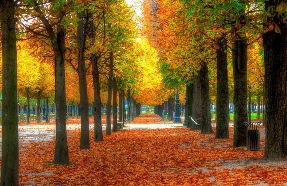 如果,你想要让自己拍到的秋天的小路更出彩,最好是等到路上有人的时候