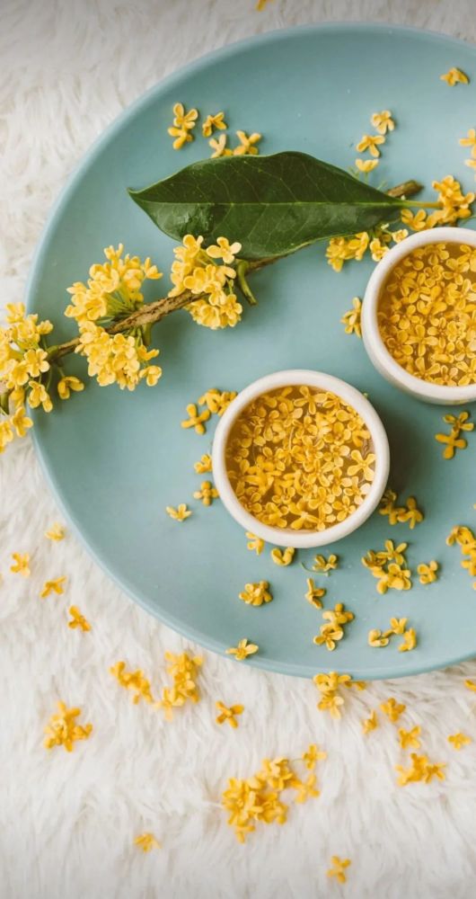 秋意|一年秋意浓，十里桂花香