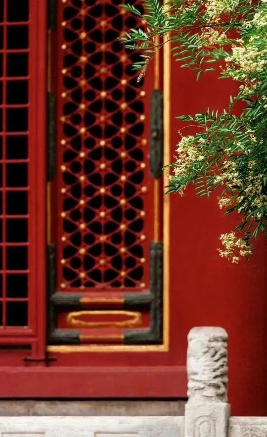 秋意|一年秋意浓，十里桂花香