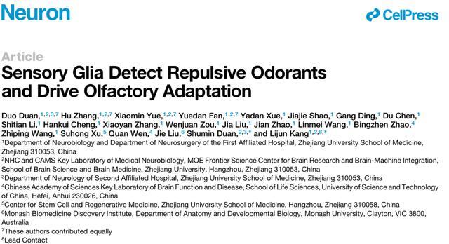 神经胶质细胞|神经胶质细胞功能与疾病大会即将进行，浙大团队连续发文
