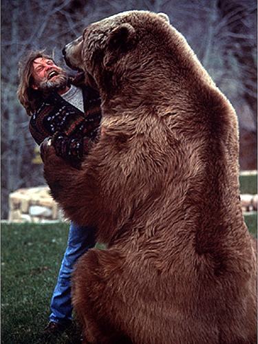 世界上最大的棕熊:科迪亚克棕熊,超1600斤,人类外无对手