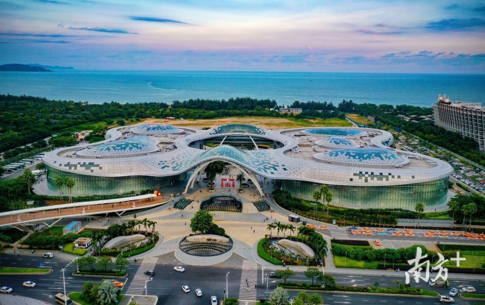 日均销售近亿海南免税店火了