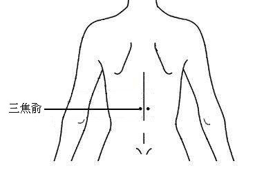 针灸穴名解—膀胱经腧穴 三焦俞